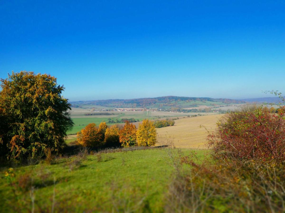 Appartamento Ferienhaus Rhoener Auszeit Kaltenwestheim Esterno foto