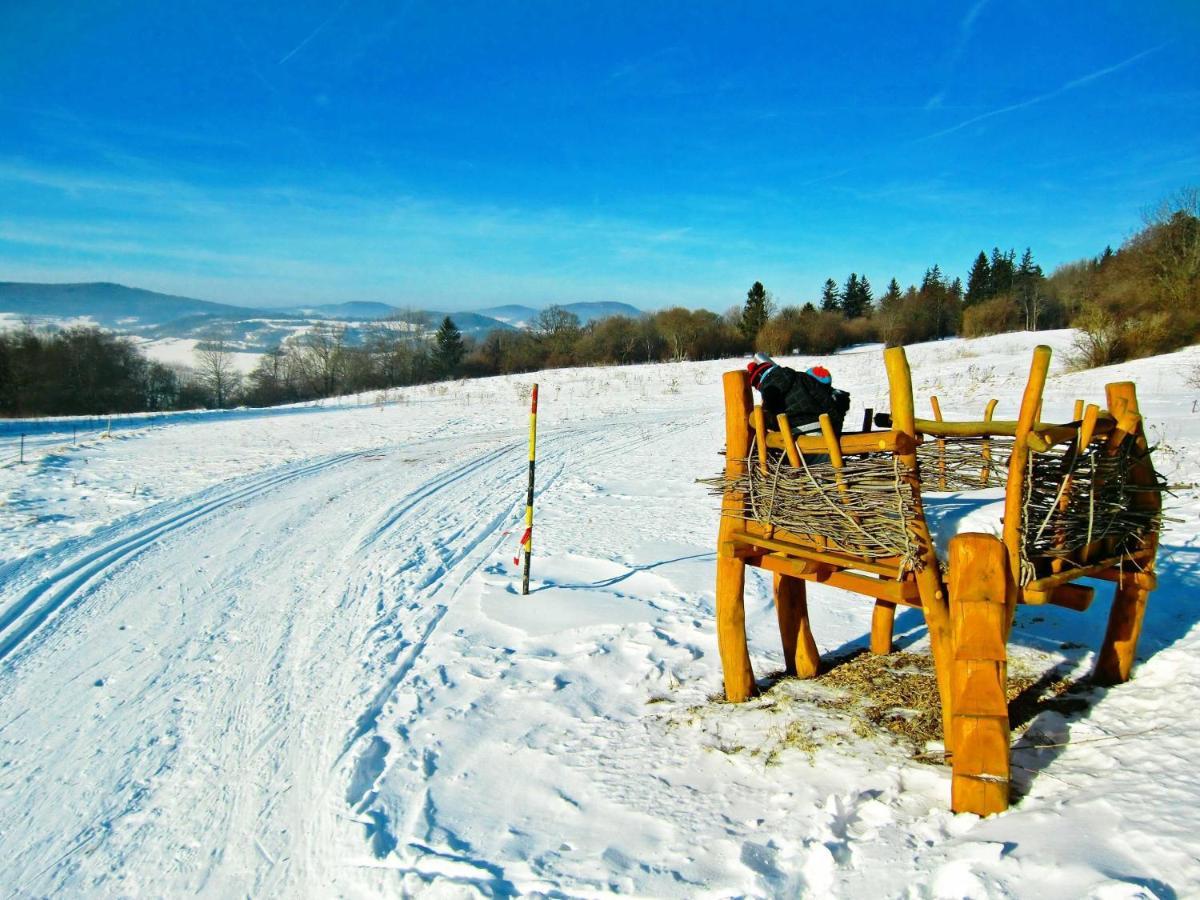 Appartamento Ferienhaus Rhoener Auszeit Kaltenwestheim Esterno foto